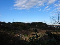 DSC 0391