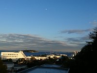 DSC 0984