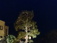 DSC 0994